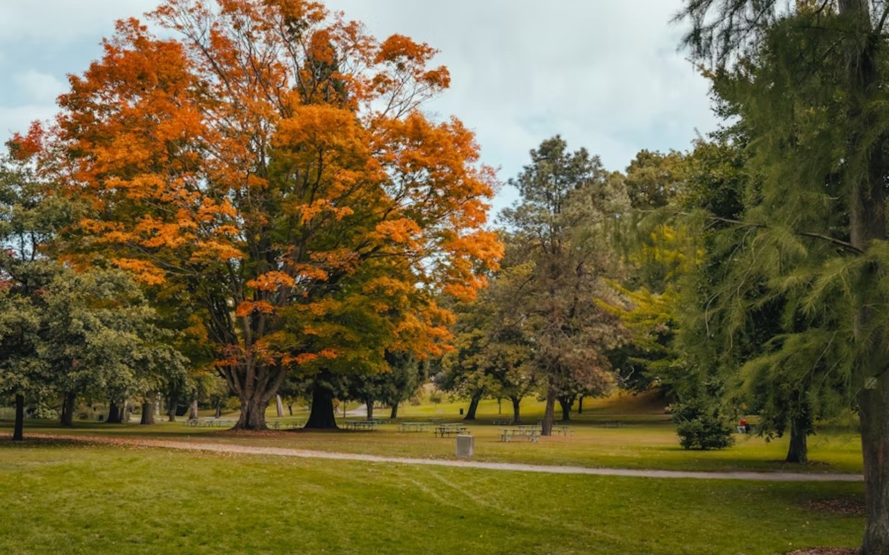 Summerville, SC Real Estate Trends: Where Are Homebuyers Focusing Their Search?