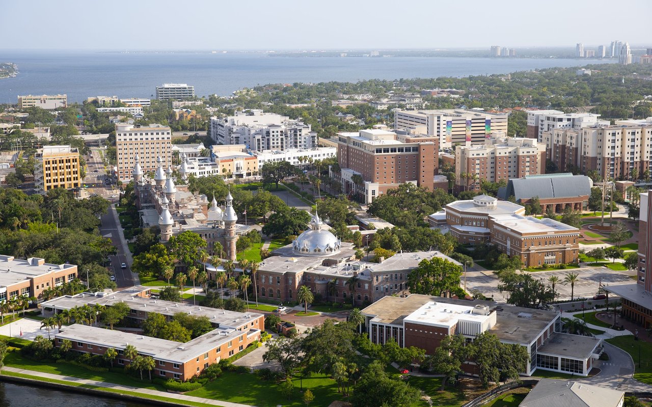 Tampa Bay Is a College Town. Here's Why That Matters If You're Buying a Home