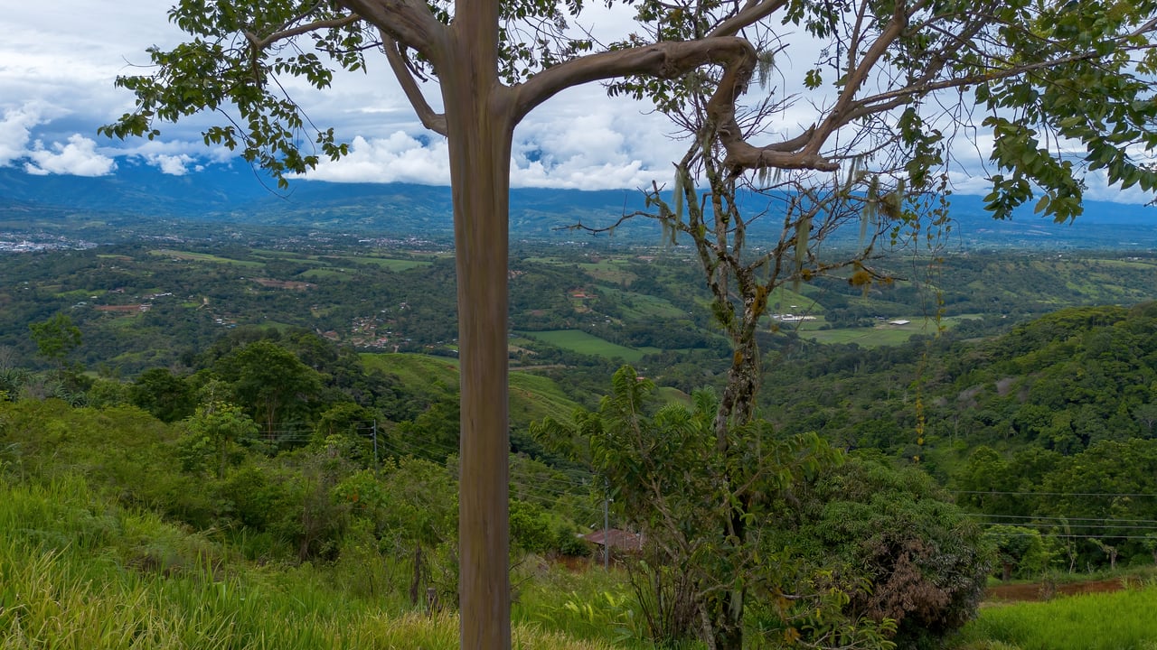 Panoramic Mountain View Lot | 3,000 ft, 30 min to Beaches | Pérez Zeledón