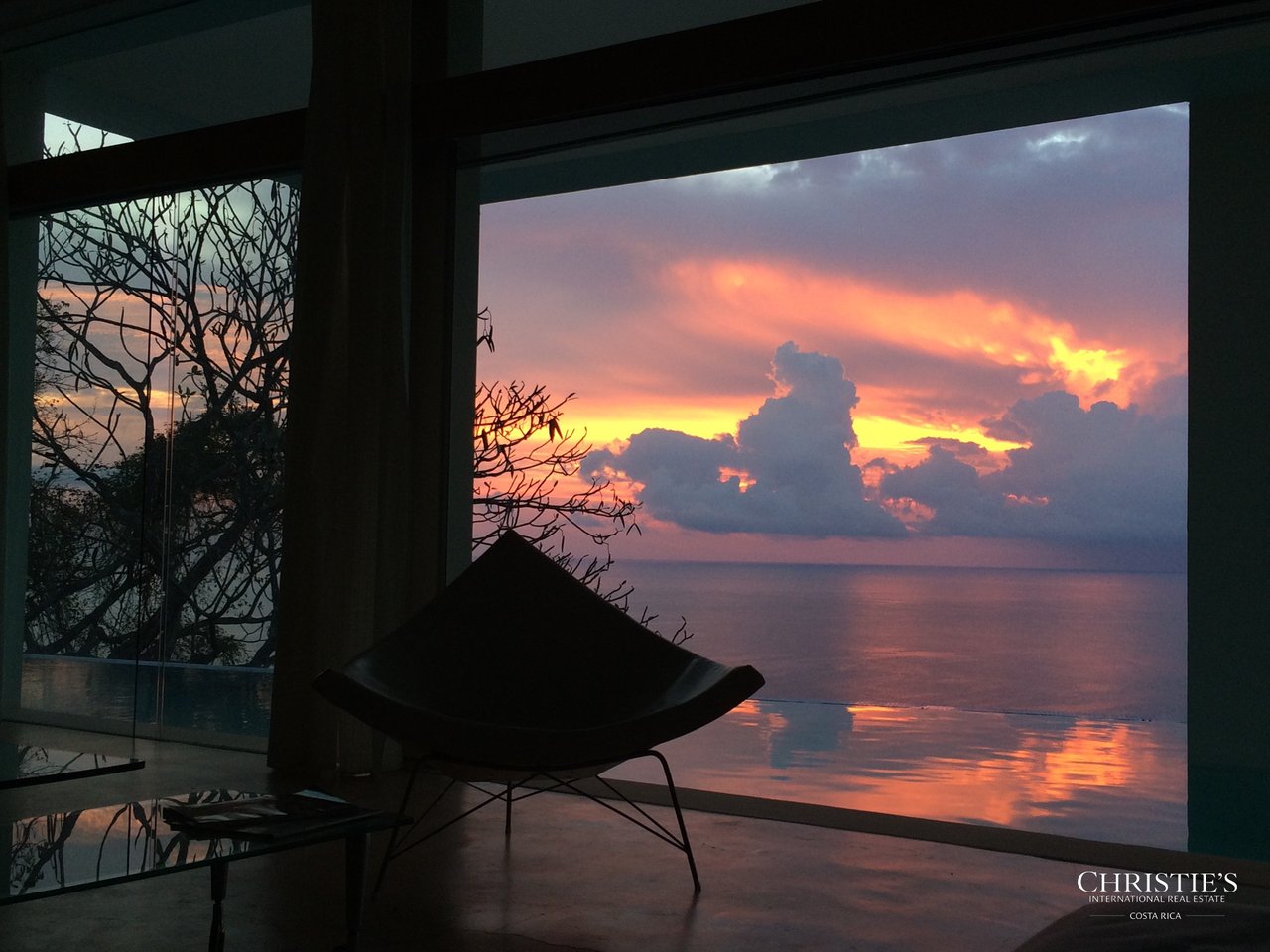 Jungle and Ocean Architectural Masterpiece