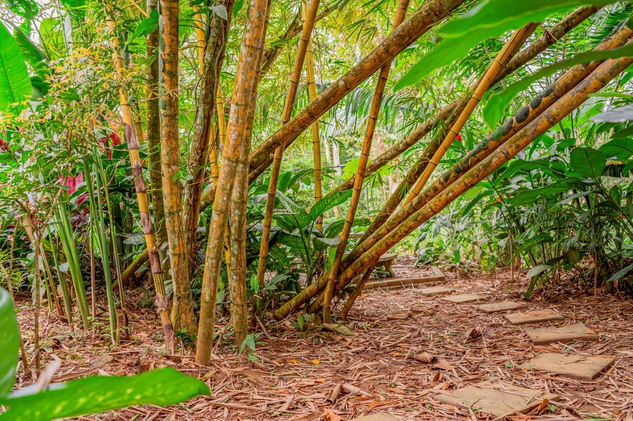 Tropical 4-Bedroom Home for Sale in Uvita | Pool & Airbnb Income