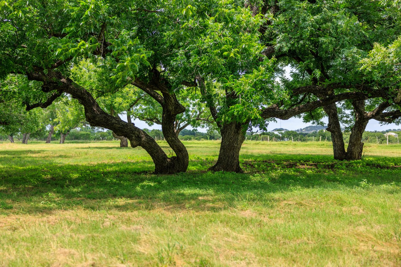 Live Oak Creek Ranch 