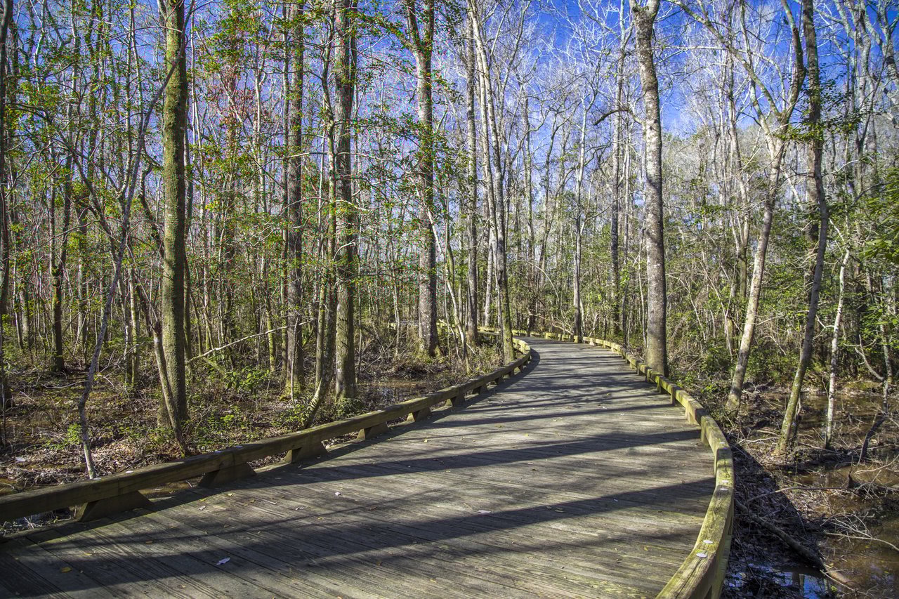 Brunswick Forest