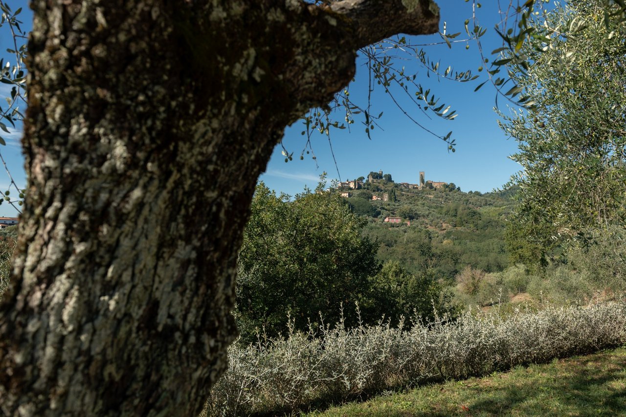 Fattori