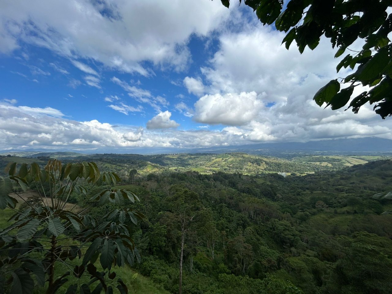 10-Acre Waterfall Farm with Amazing Valley and River View in San Isidro.