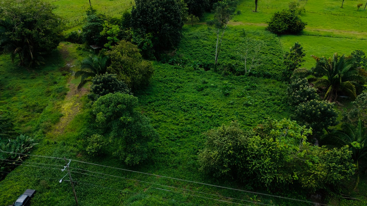 Strategic 5000sqm Commercial Property in Uvita: Perfect for any Business Vision
