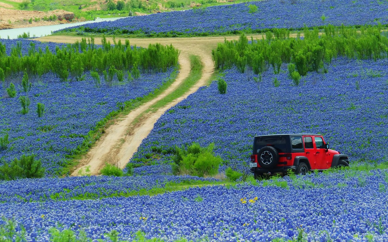 Spicewood