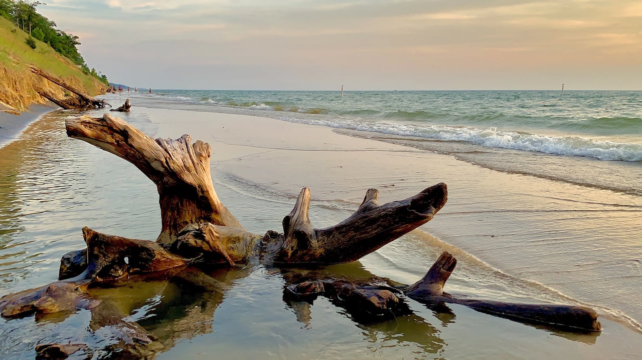 Driftwood on the sandy shoreline at Kirk Park Beach in West Olive, Michigan with Lake Michigan waves.