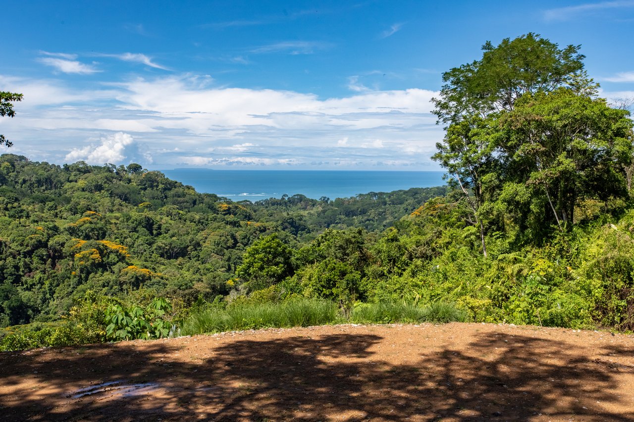 Private 5-acre Riverfront Property with Ocean & Mountain Views | San Josecito