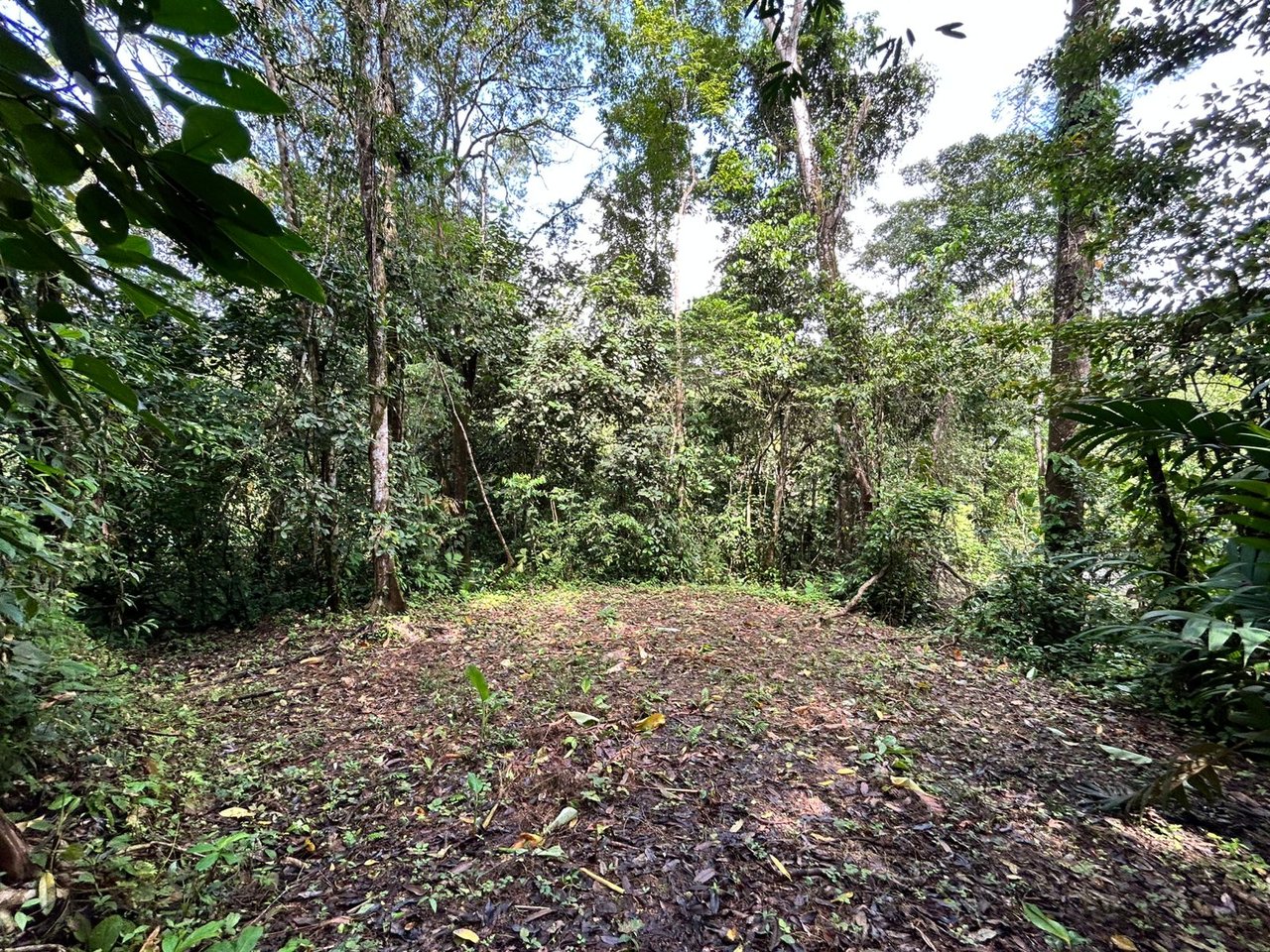 1.4-acre gated lot in Uvita.