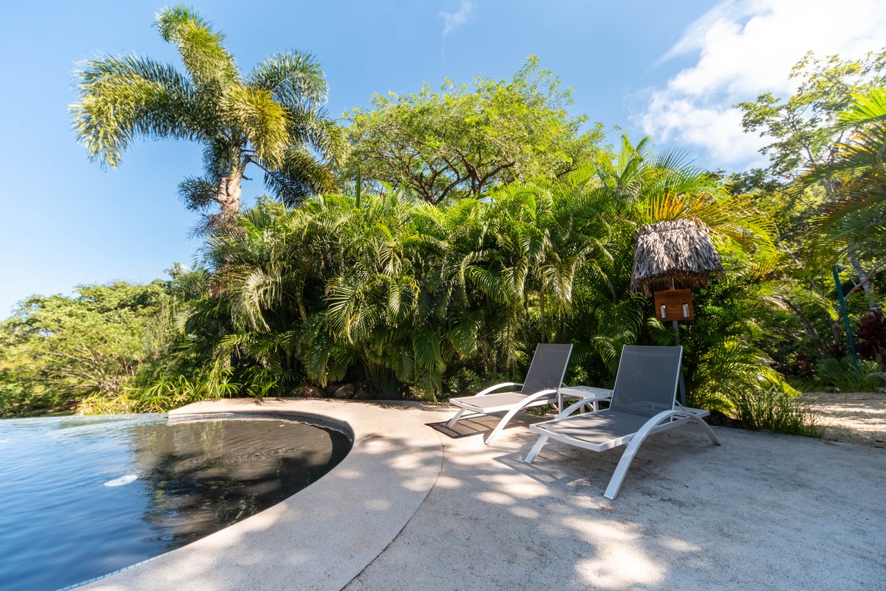 Mikado Natural Lodge | Turnkey Eco Lodge with Ocean Views & Expansion Potential in Guanacaste