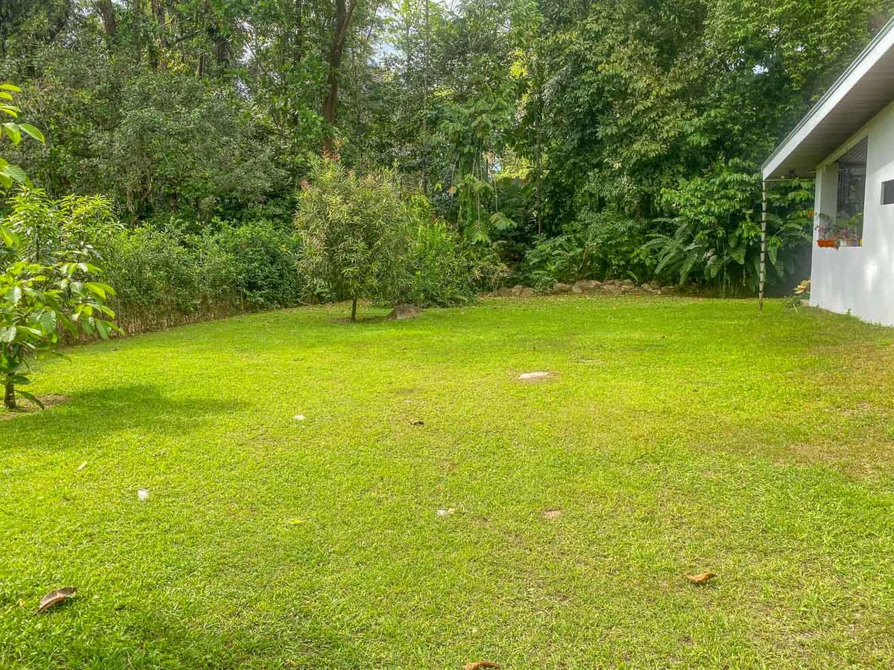 3-Bed Home on Calle Principal Ojochal with River & Jungle