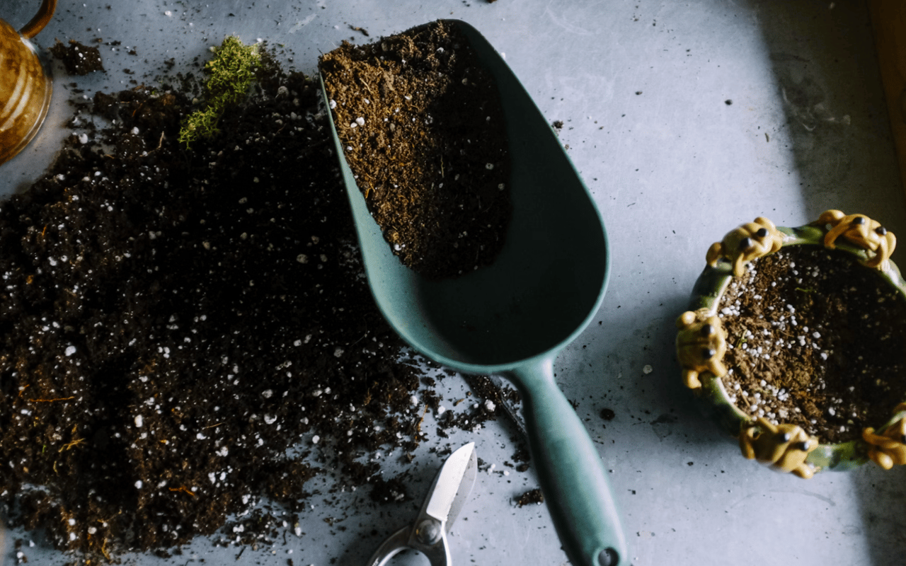 The Role of Landscaping in Boosting Your Home's Aesthetic Appeal