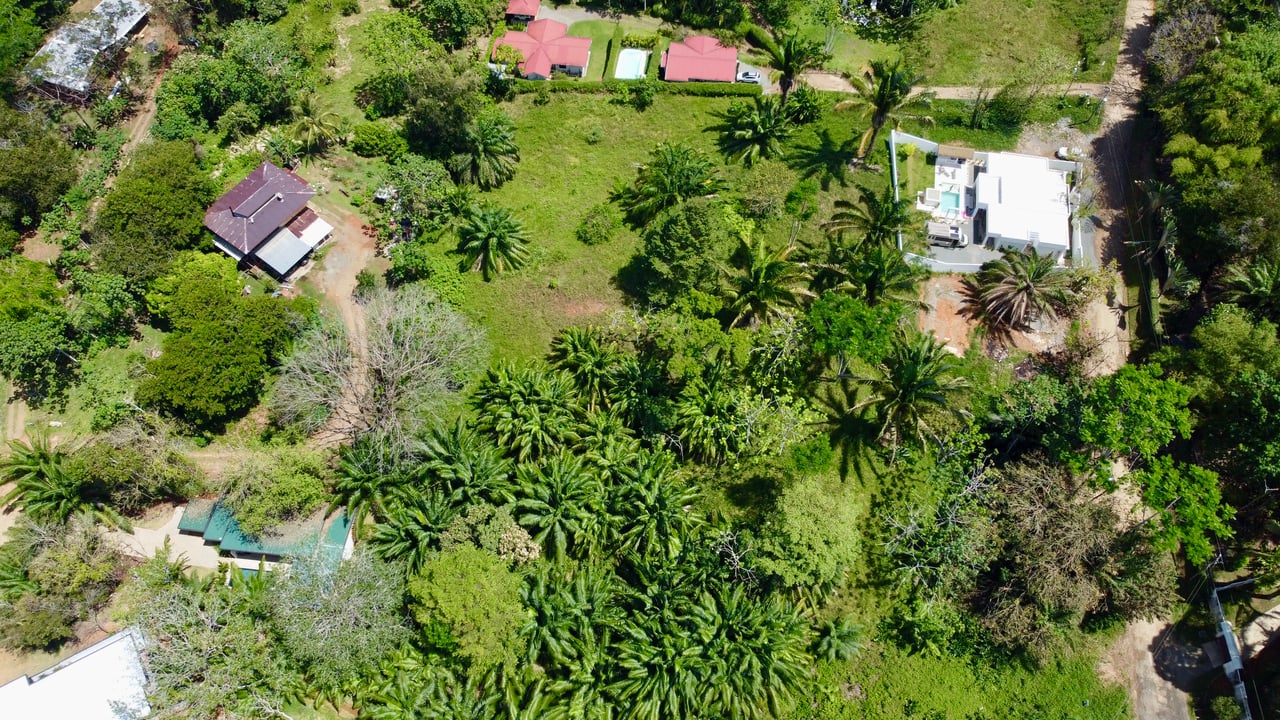4 Development Lots  in Jardines del Morete