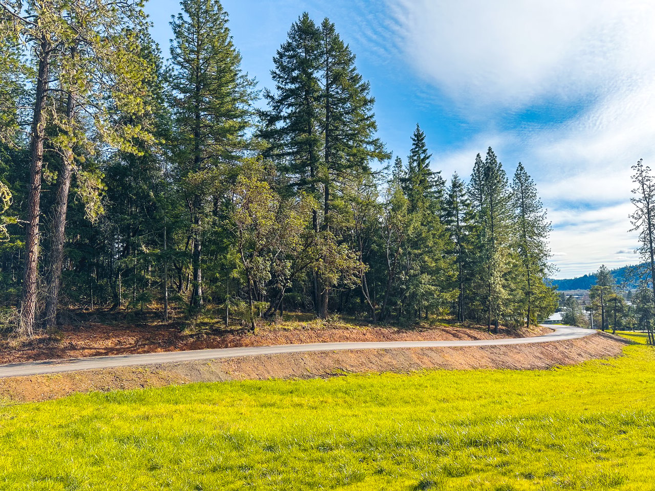 SUTHERLIN WOODLOTS