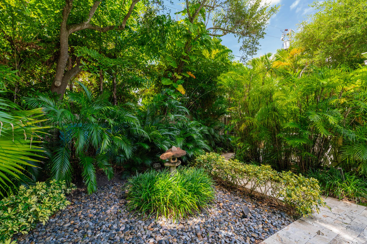 Protected Trees in Miami