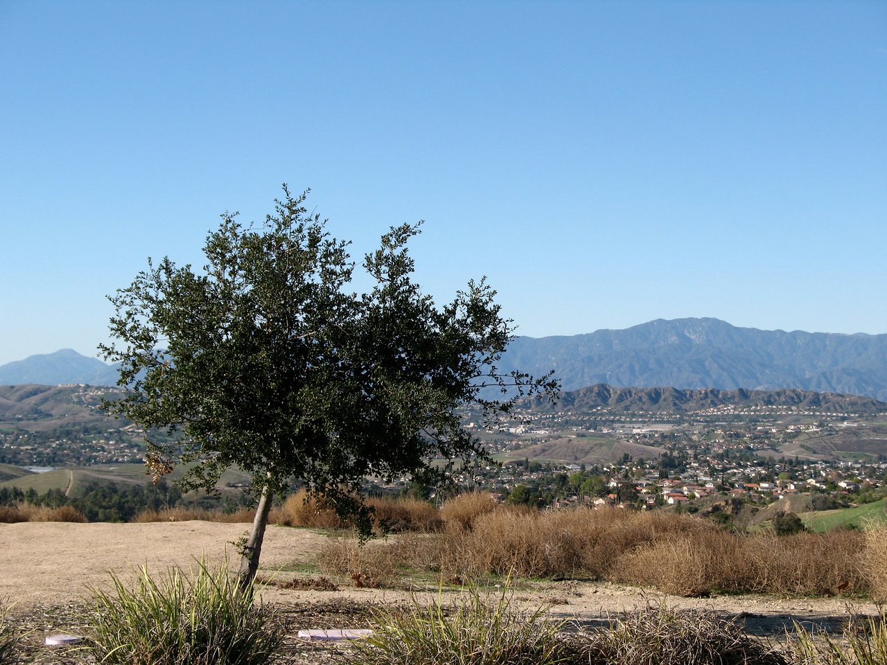 Diamond Bar