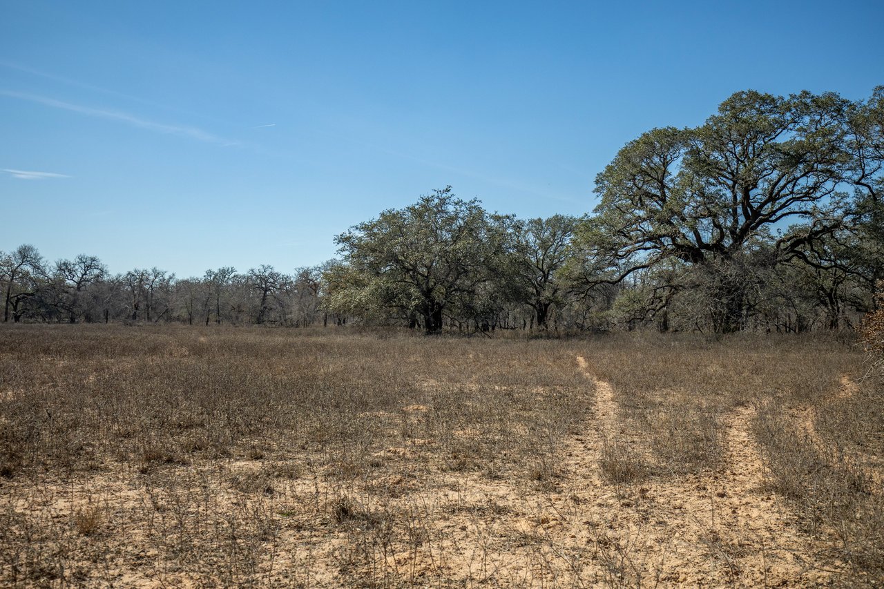 Whispering Pines Floresville Ranch | 298± Acres | Wilson County