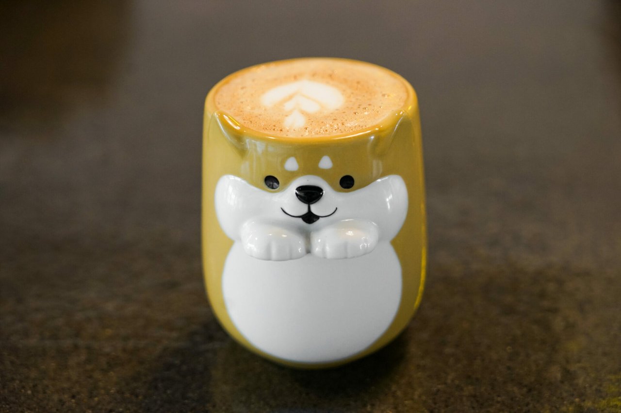 Top Sonoma County Spots for Your Morning Coffee