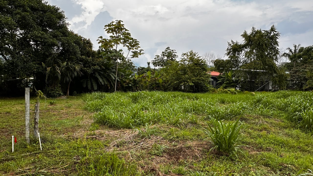 Beach Area Lot in Quiet Corner on Uvita Bahia
