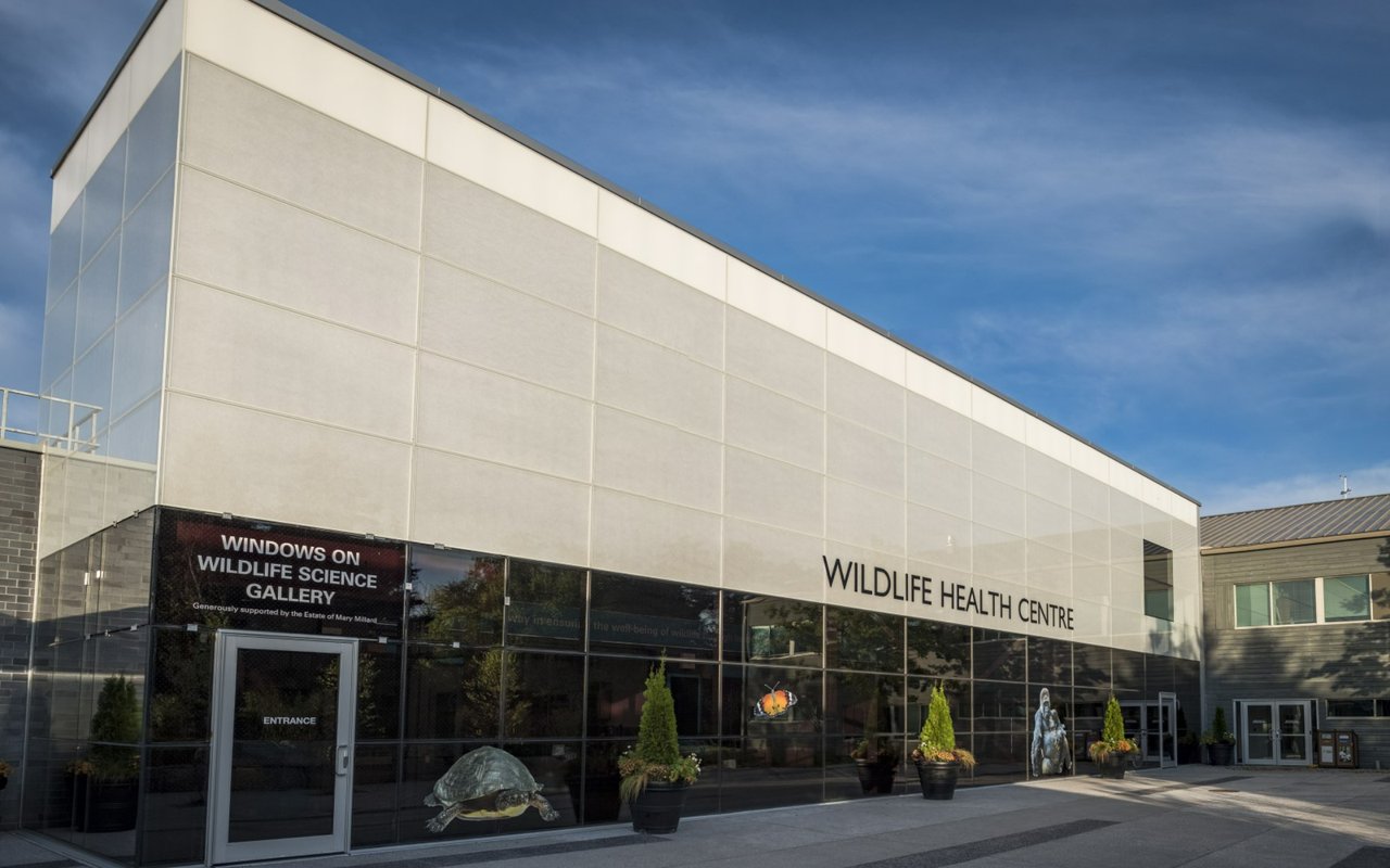 Past, Present, Future: Doors Open Toronto Turns 20