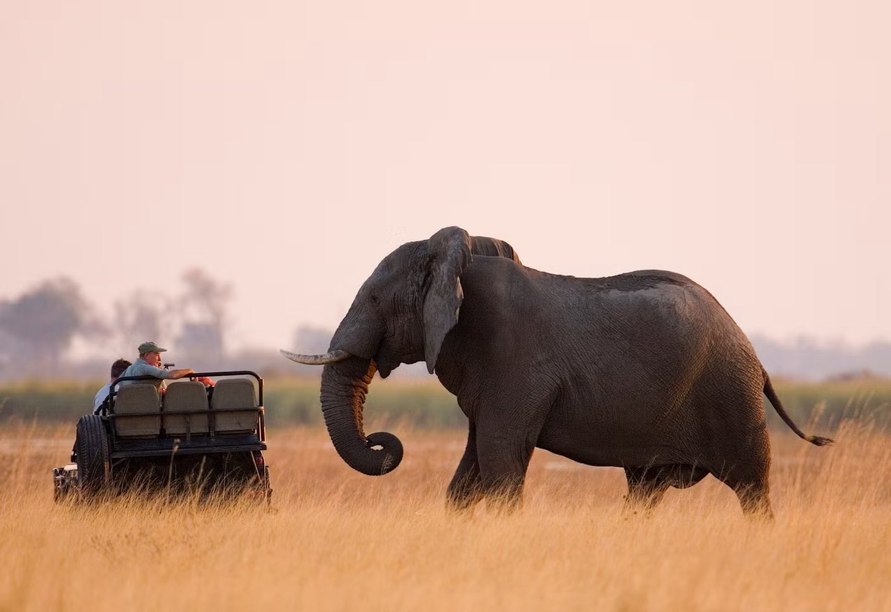 The Travel Agent Is Back, and Now They Call Themselves Something Else