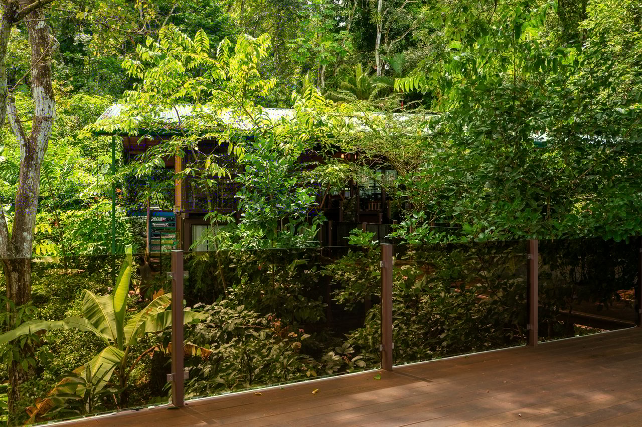 Where the Journey Begins | Private Jungle Estate at Nauyaca Waterfalls