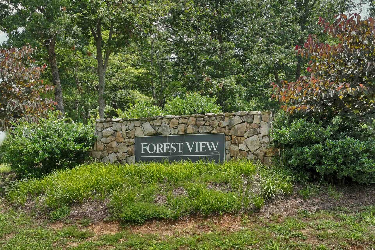 Forest View