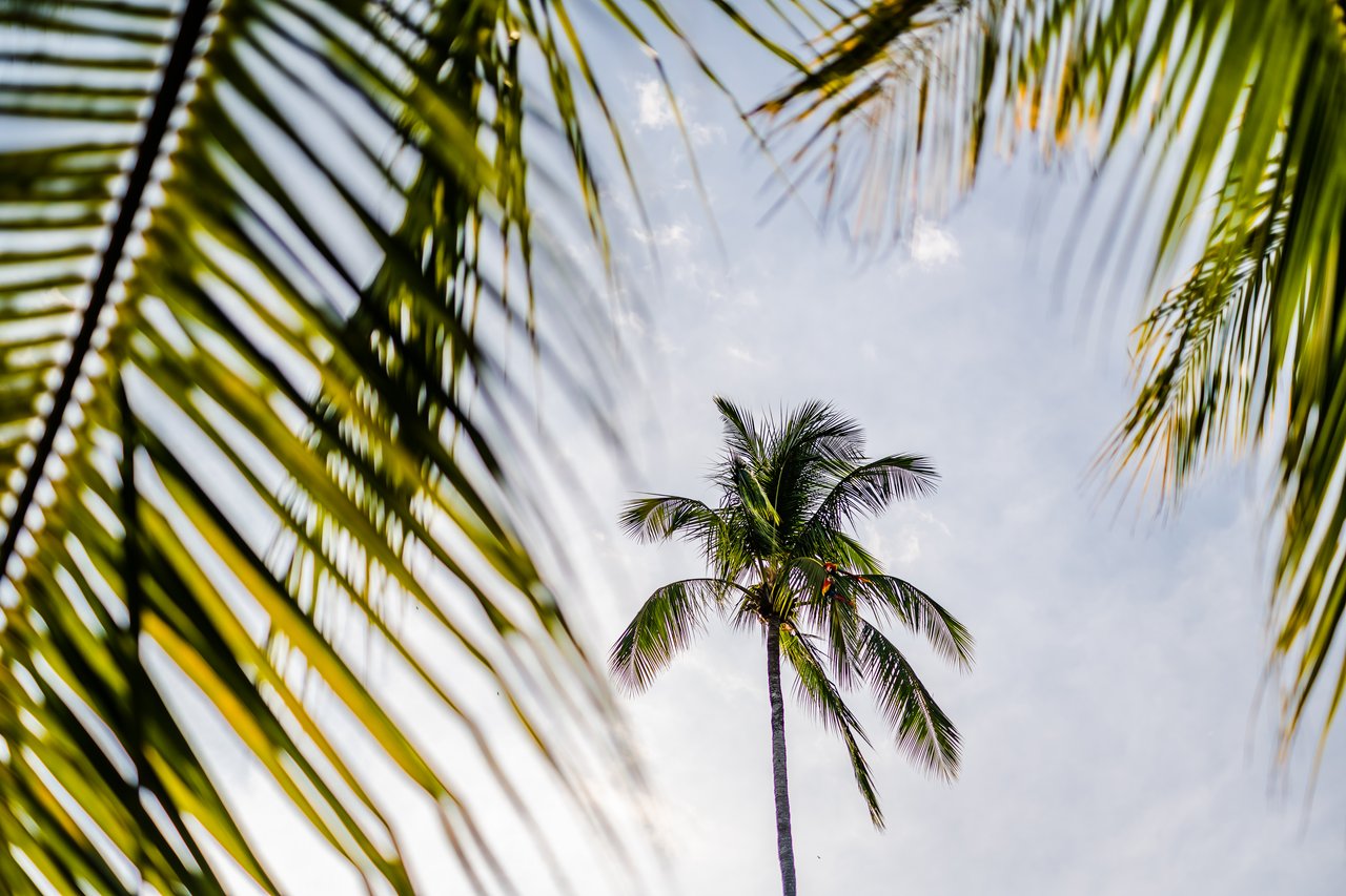 Tambor Tropical Beach Resort / Tambor, Cóbano, Puntarenas