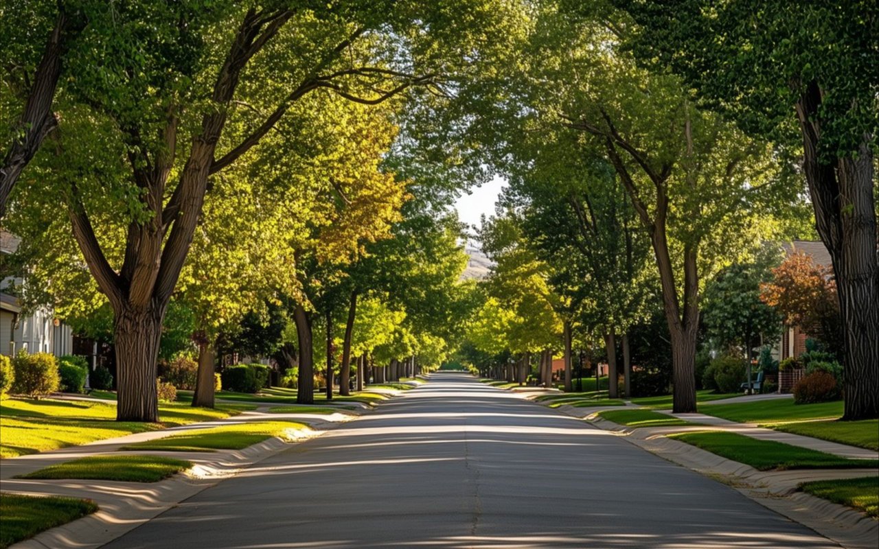 Tigard