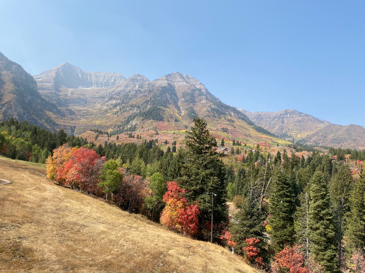 Autumn foliage and evergreen forest below rugged mountain peaks.