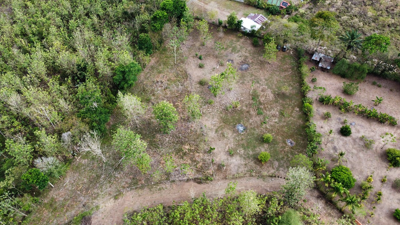 Off the grid property | Located in a privileged area, surrounded by natural beauty