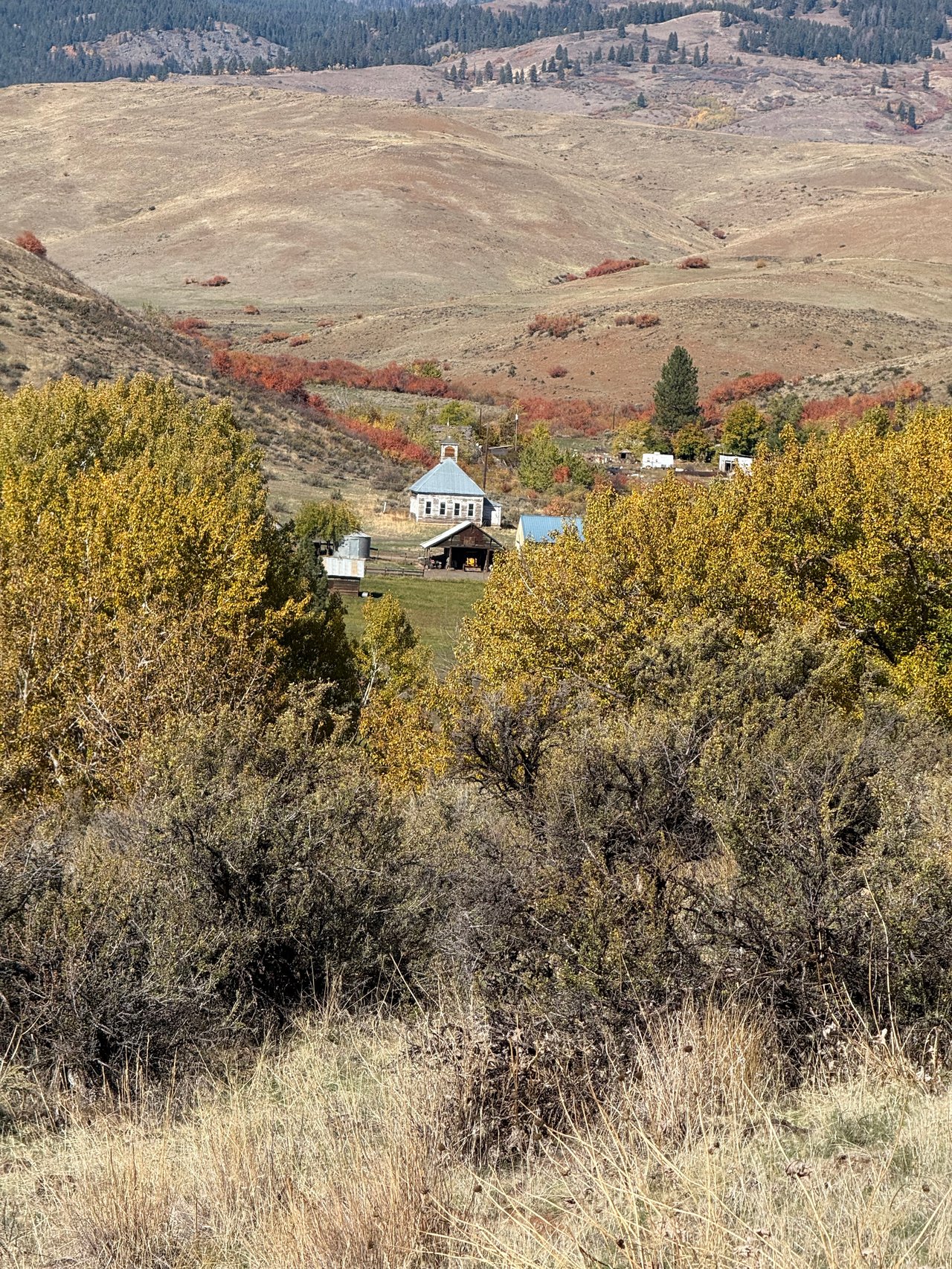 Cuddy Mountain Ranches