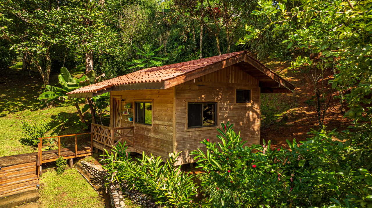 A Jungle House Built of Wood & River Dreams
