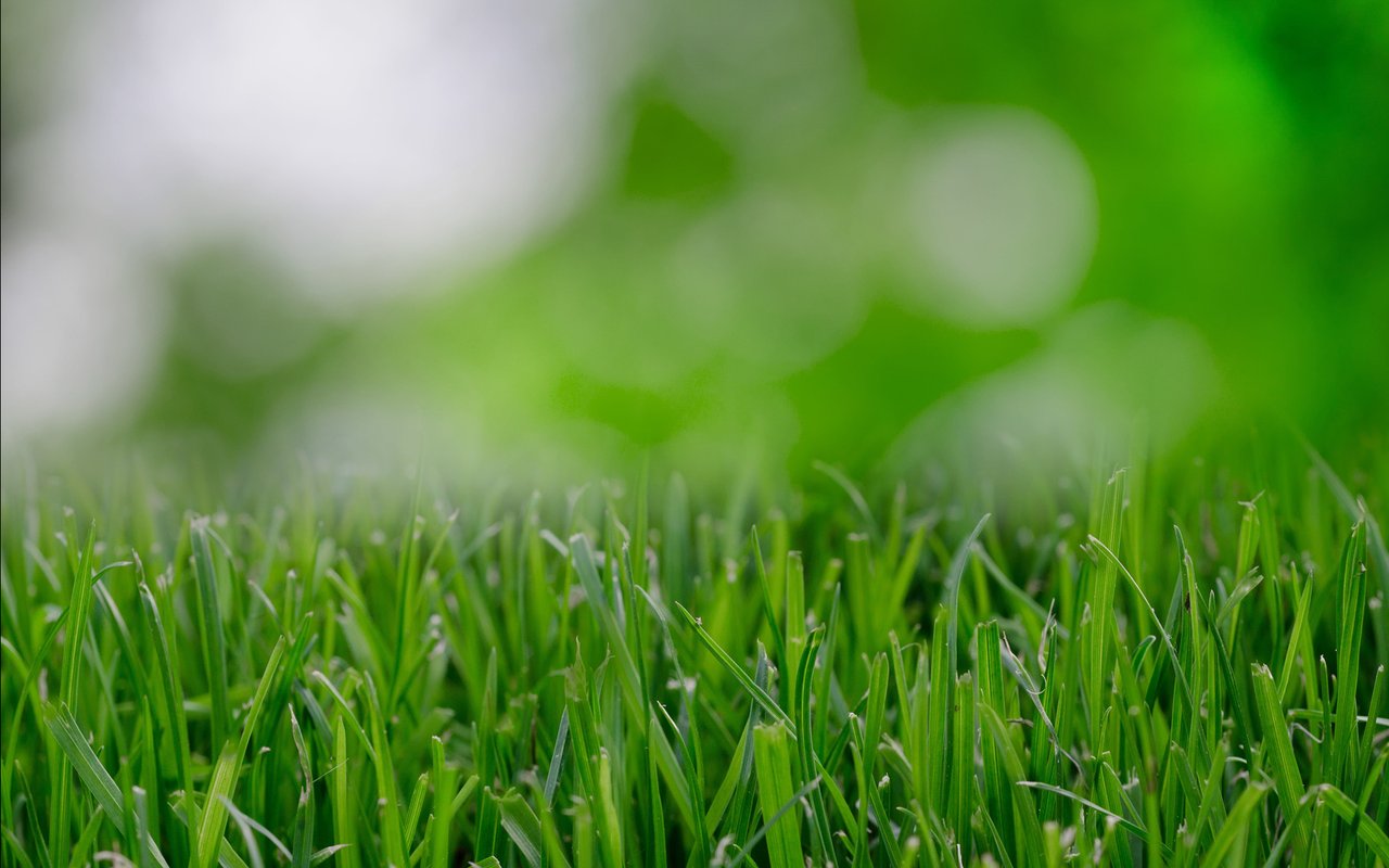4 Landscaping Improvements That Make a Huge Difference