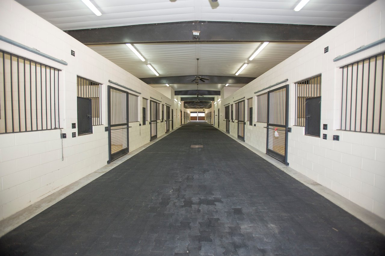 Equestrian Estate at 411 New Hope Church Road