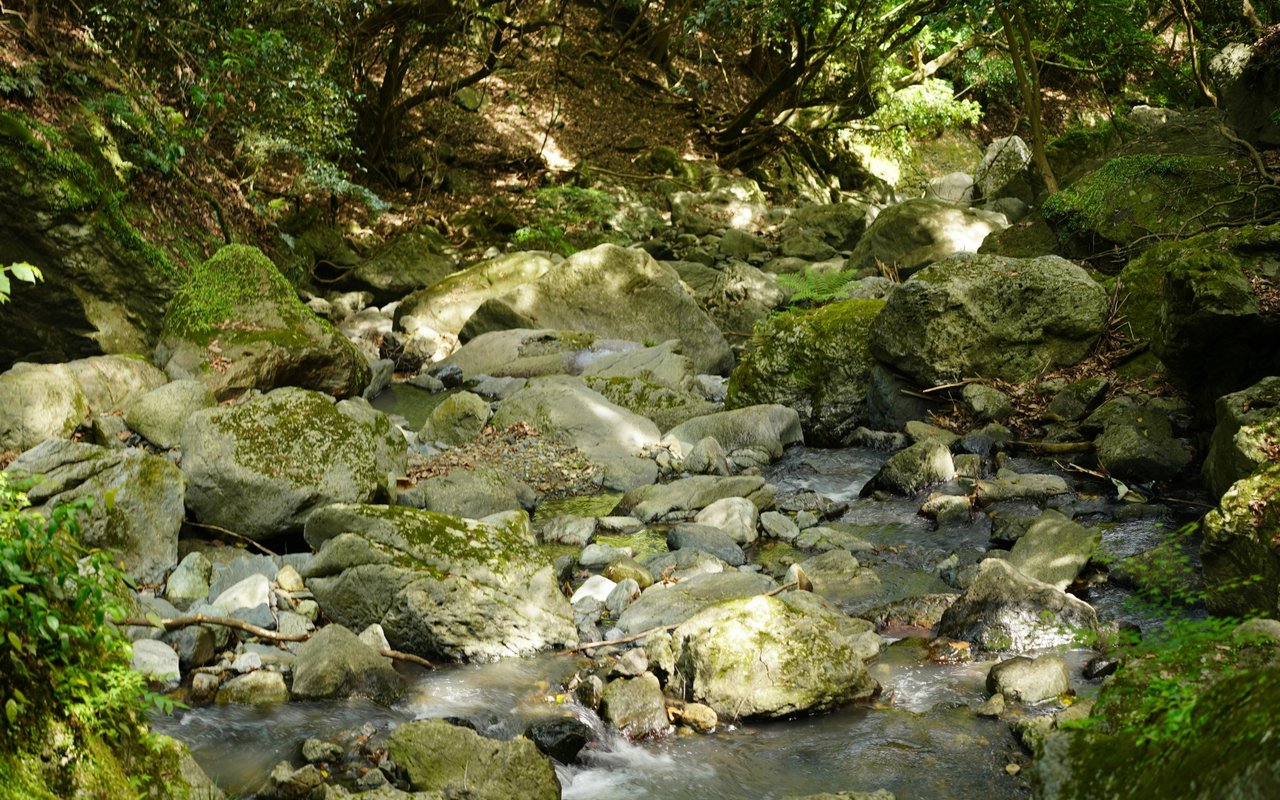 Upper Black Eddy