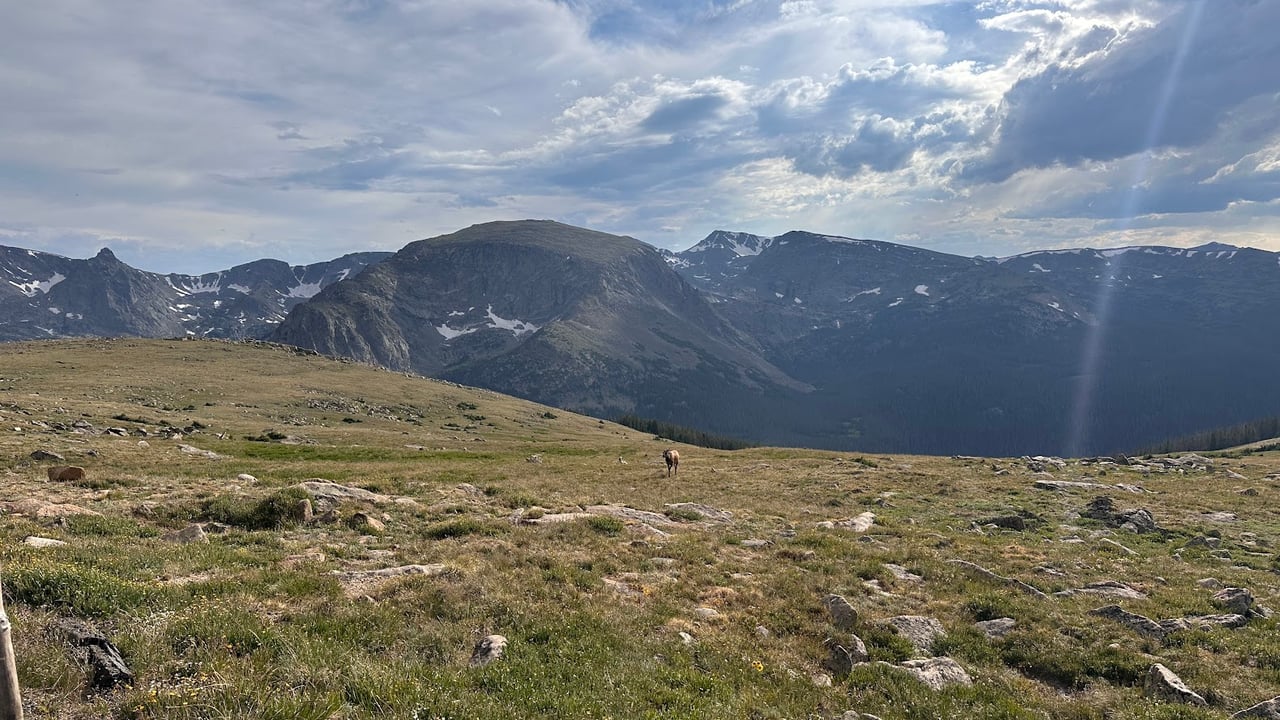 Where the Road Meets the Sky: Driving Trail Ridge Road