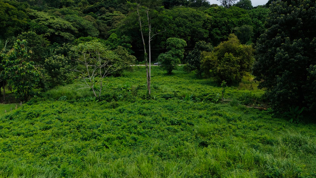 Strategic 5000sqm Commercial Property in Uvita: Perfect for any Business Vision