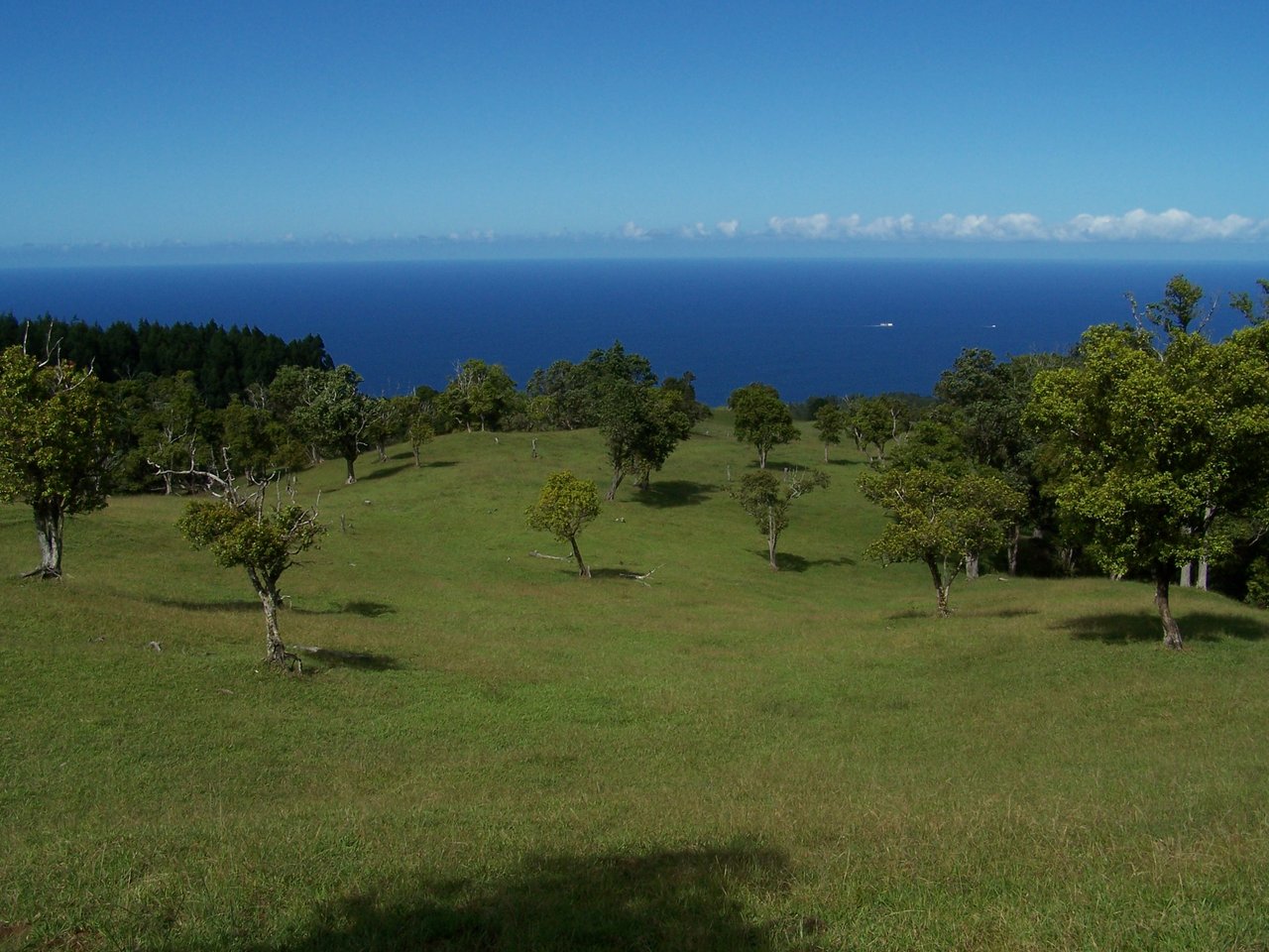 HAMAKUA COAST BIG ISLAND