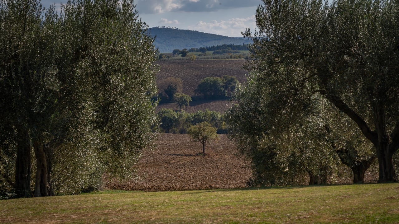 LA VISTA SUL BELLO
