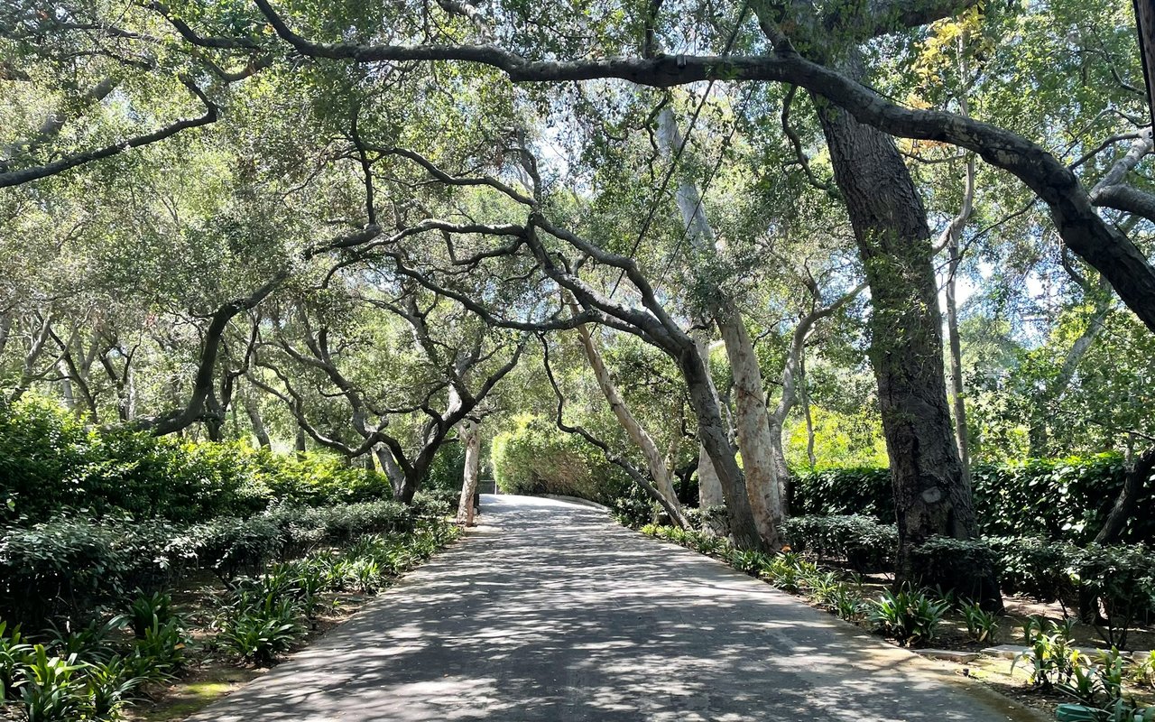 Alta Mesa / Glenwood Circle