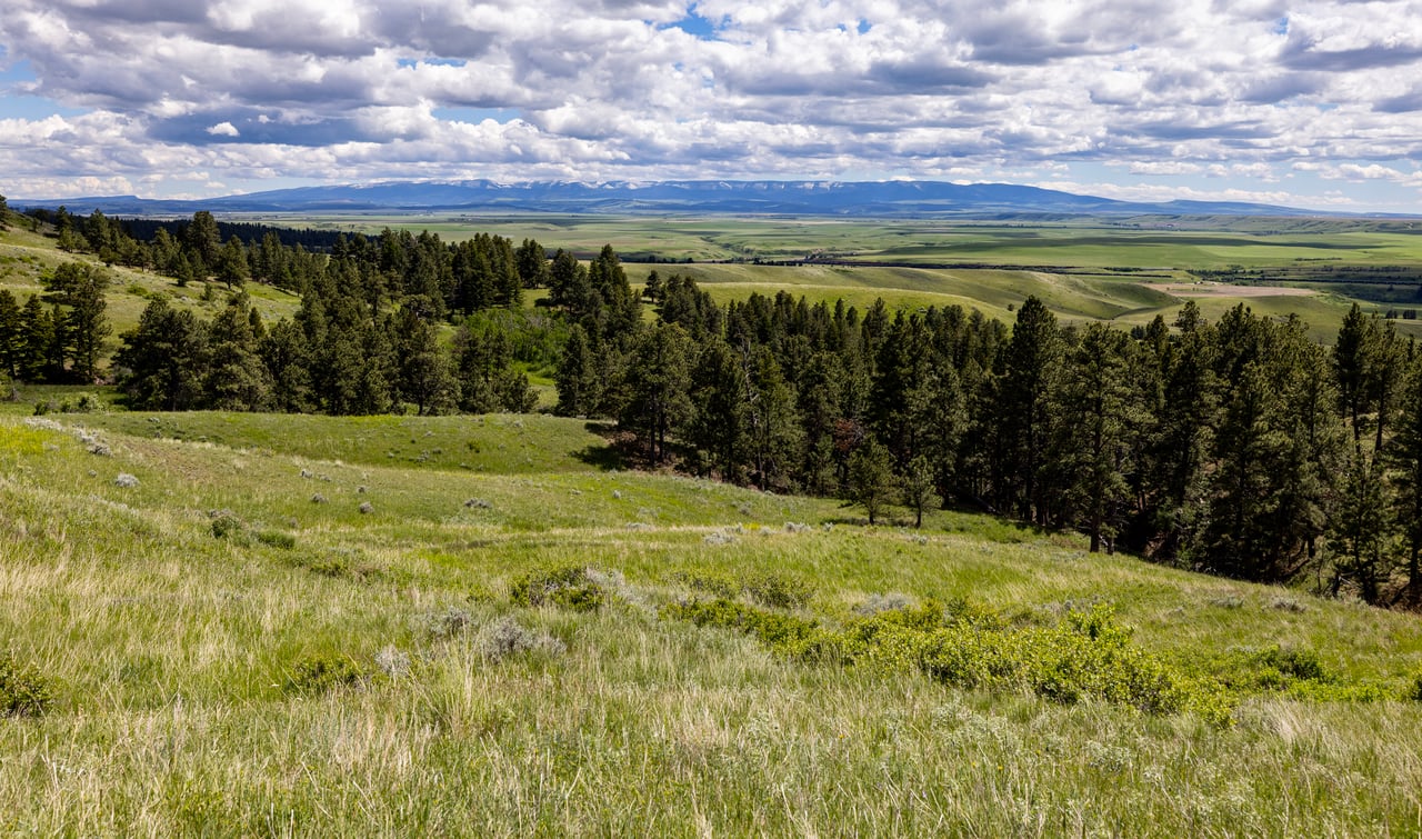 Big Spring Legacy Ranch