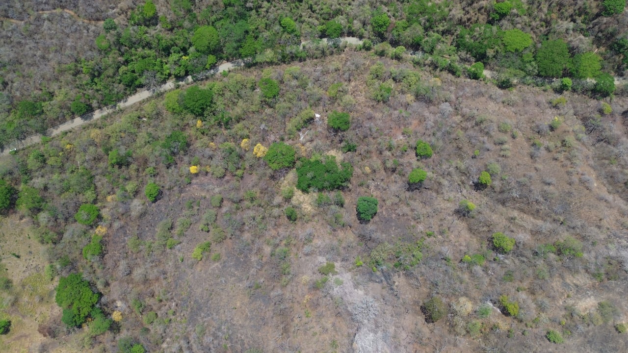 10 HECTARES DEVELOPMENT OPPORTUNITY - PUERTO VIEJO CONCHAL