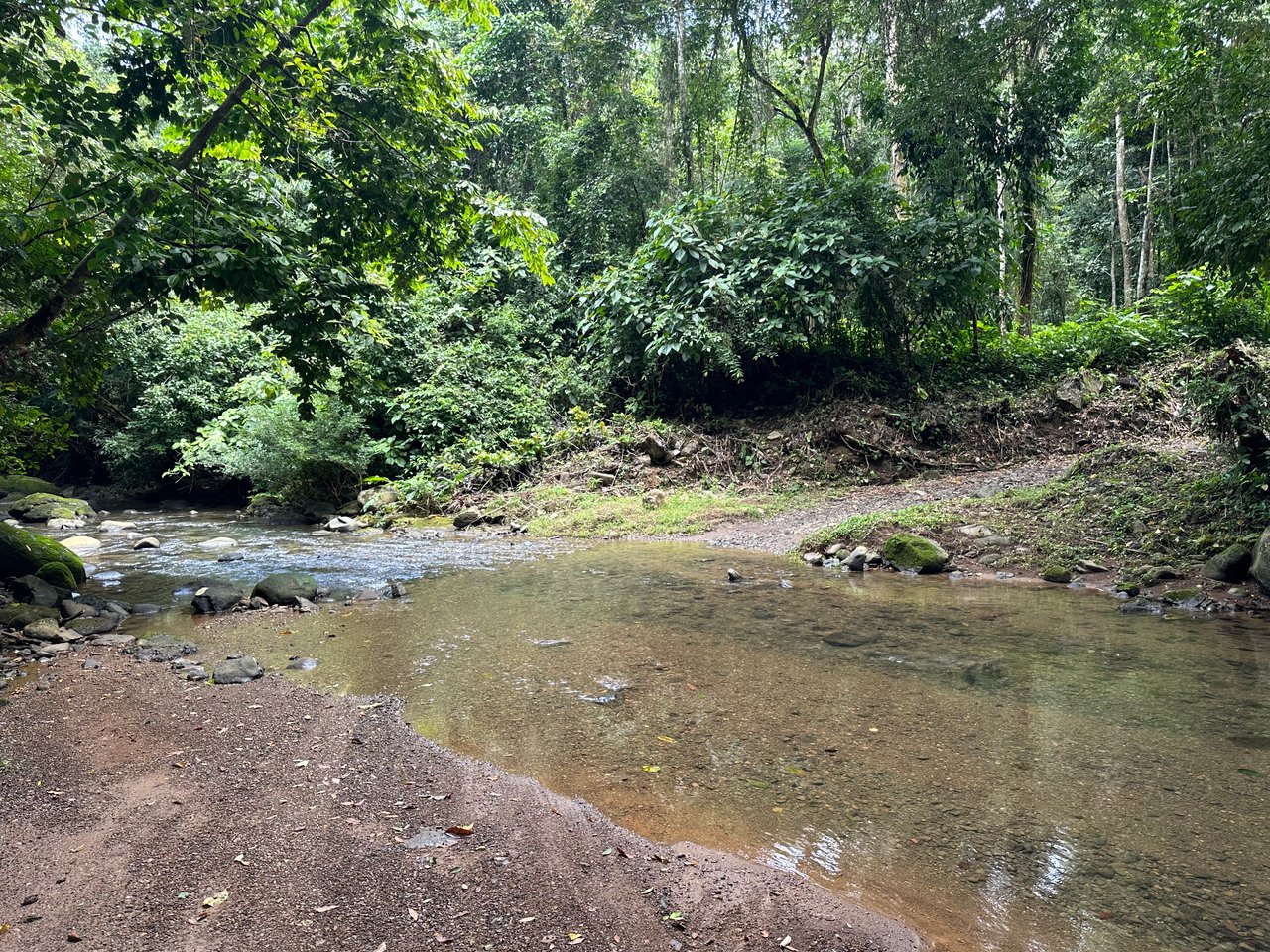 Jungle Oasis with River Frontage Near Dominical – 5.2 Acres of Pure Nature