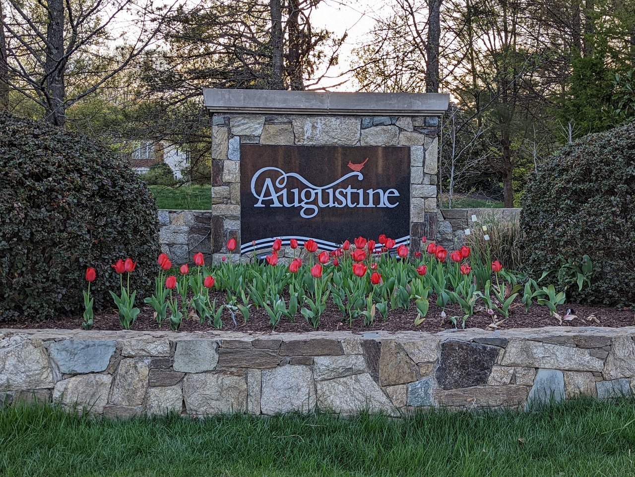 Augustine North