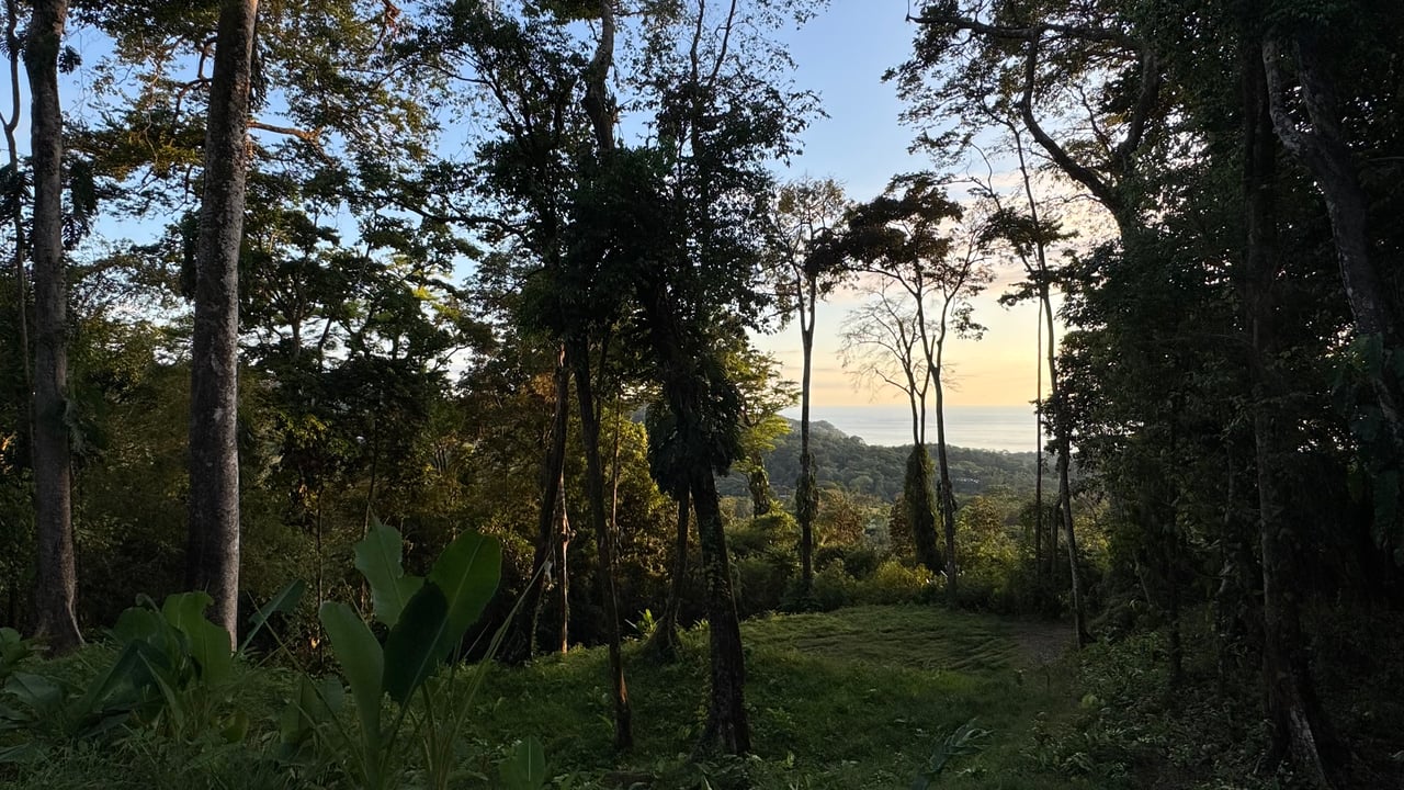 Two Ocean View Lots in Uvita – Easy Access and Large Building Sites