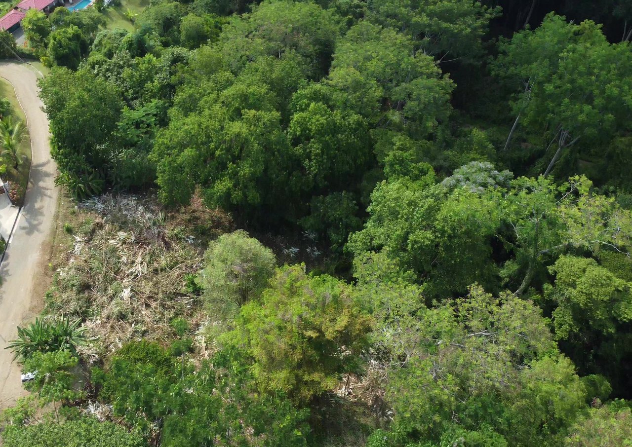 Ojochal - 1 Acre Ready To Build Jungle Lot, Ocean Breezes in Wildlife Corridore