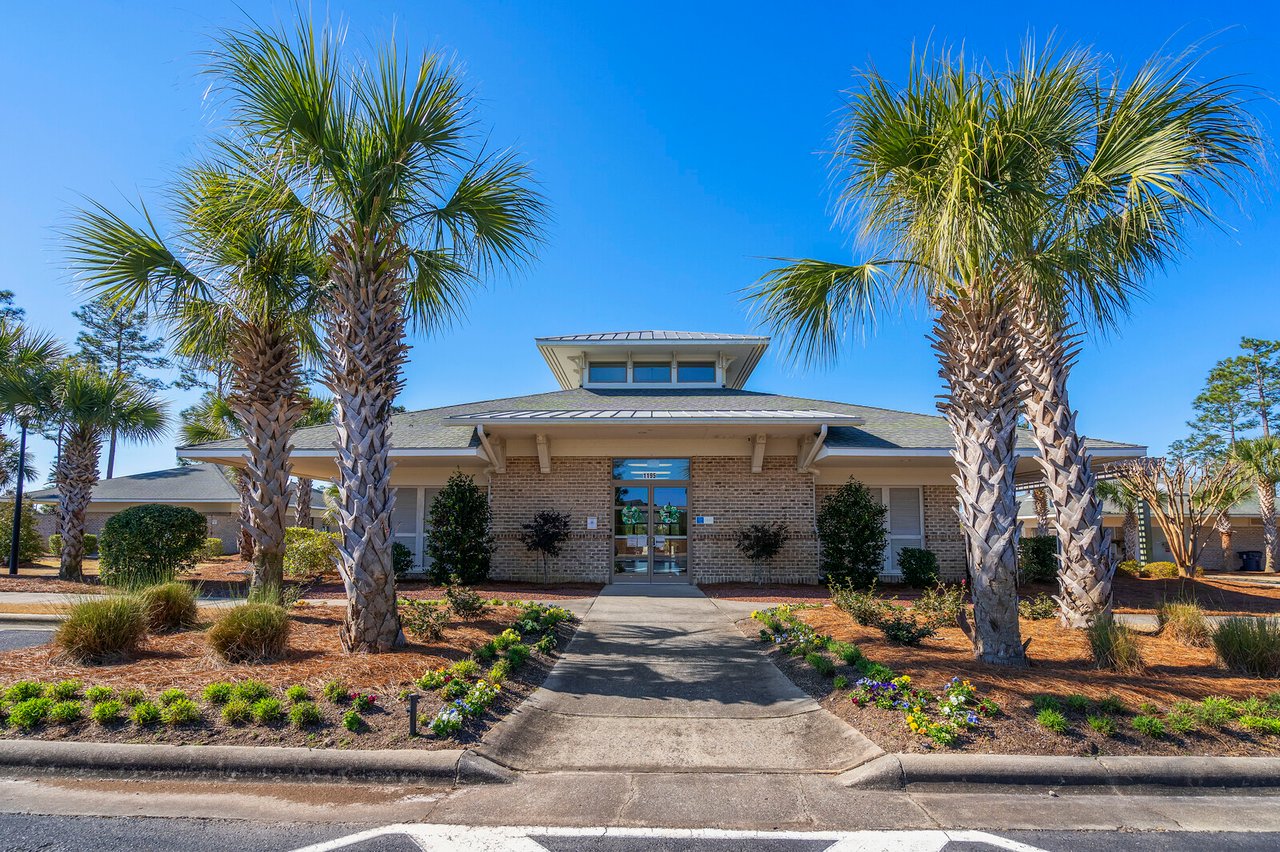 Palmetto Creek of the Carolinas