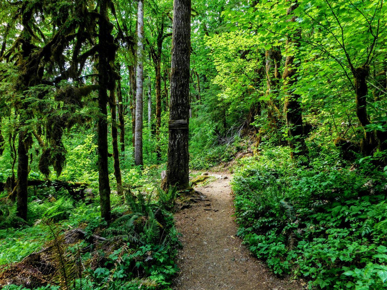 Hitting the Trail cover